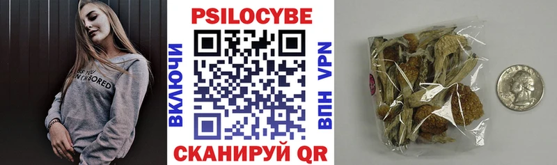 Псилоцибиновые грибы Psilocybe  Чулым 
